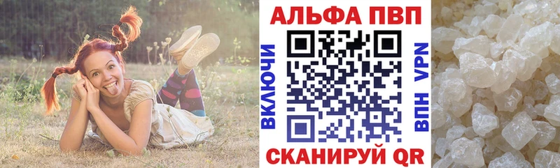 купить наркотики сайты  kraken как войти  Alpha PVP СК  Новоржев 