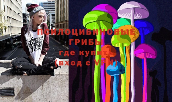 трава Бронницы