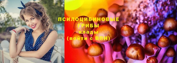 синтетический гашиш Верхний Тагил