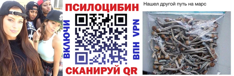 Галлюциногенные грибы GOLDEN TEACHER  Новоржев 