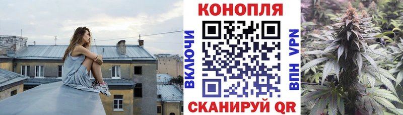 Каннабис сатива Новоржев